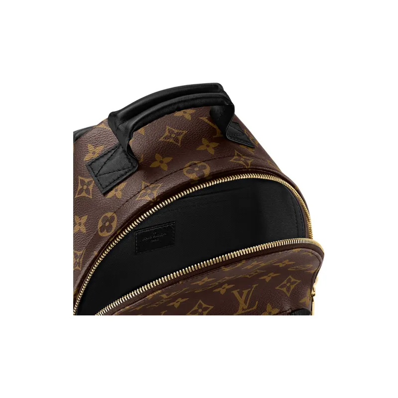 LOUIS VUITTON Palm Springs Monogram Updated Zipper Mm-4