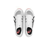 Asics Gel-Evolution 3