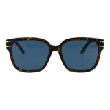 Tortoiseshell