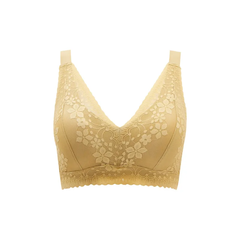 Edi Women's Bras-2