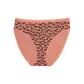 1 Pack (Palm Tree Print)
