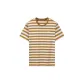 Earth Yellow