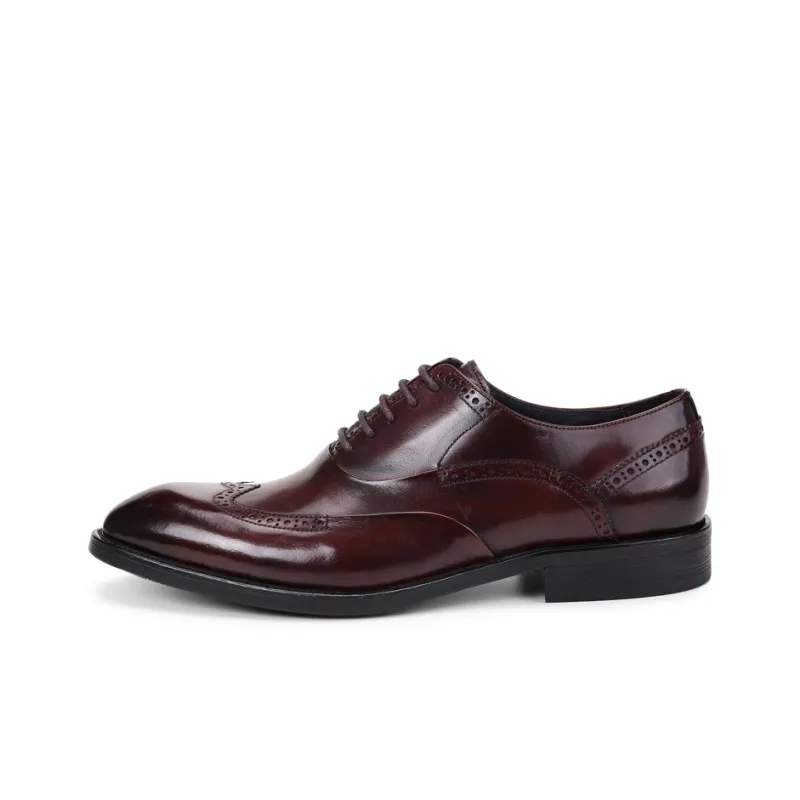 ASTON M.JAZZ Dress Shoes Men Low Top Black/Burgundy/Coffee/Brown-15