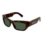 Tortoiseshell