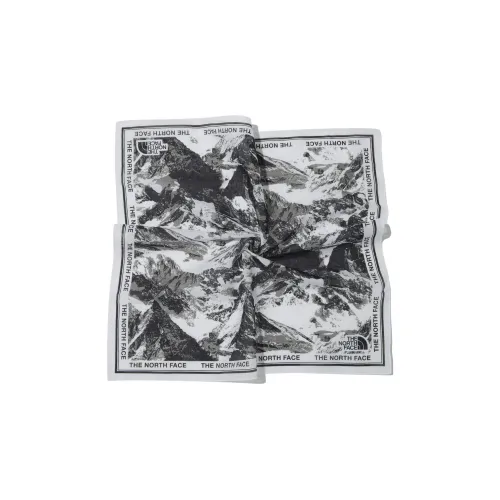 THE NORTH FACE Mountain Graphic Bandana Gray