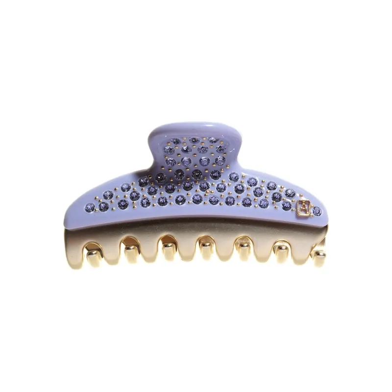 ALEXANDRE DE PARIS Poetic Pastoral Wandom Medium Size Claw Clip Hair Accessories Headwear Women's-1