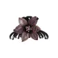 Purple HFS2303060VI