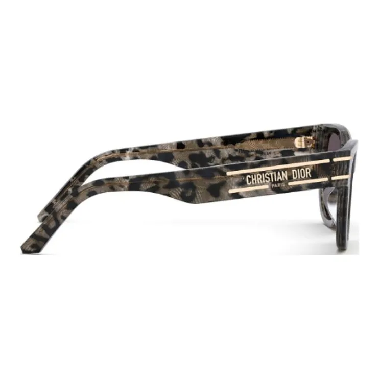 DIOR Sunglasses DIORsignature S6U-2