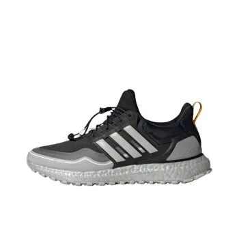Adidas Ultra Boost Winter Rdy Dna Metallic Silver