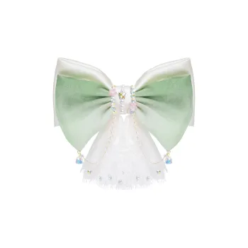 ZANC Hair Clips Women's