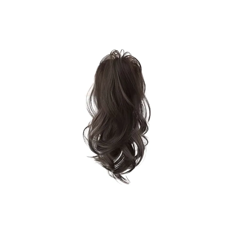 CARLHEIM Hair Clips Women's Natural Black-0
