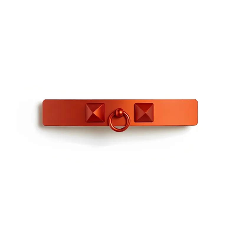 HERMES Hair Clip Women's Orange-0