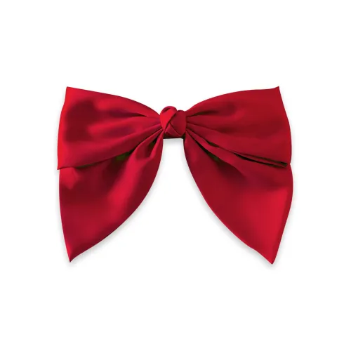 ARPOLINE Hair Clips Women's