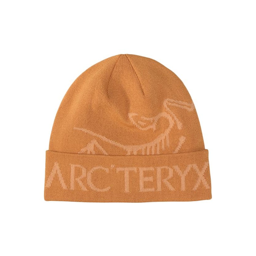 Arcteryx Bird Word Toque - POIZON