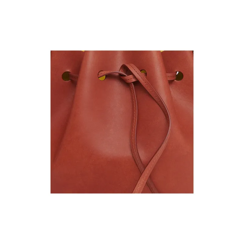 MANSUR GAVRIEL Plant Tanned Leather Bucket Bags Shoulder Bag Crossbody Bag Mini Women's Brown Multicolor Lime-3