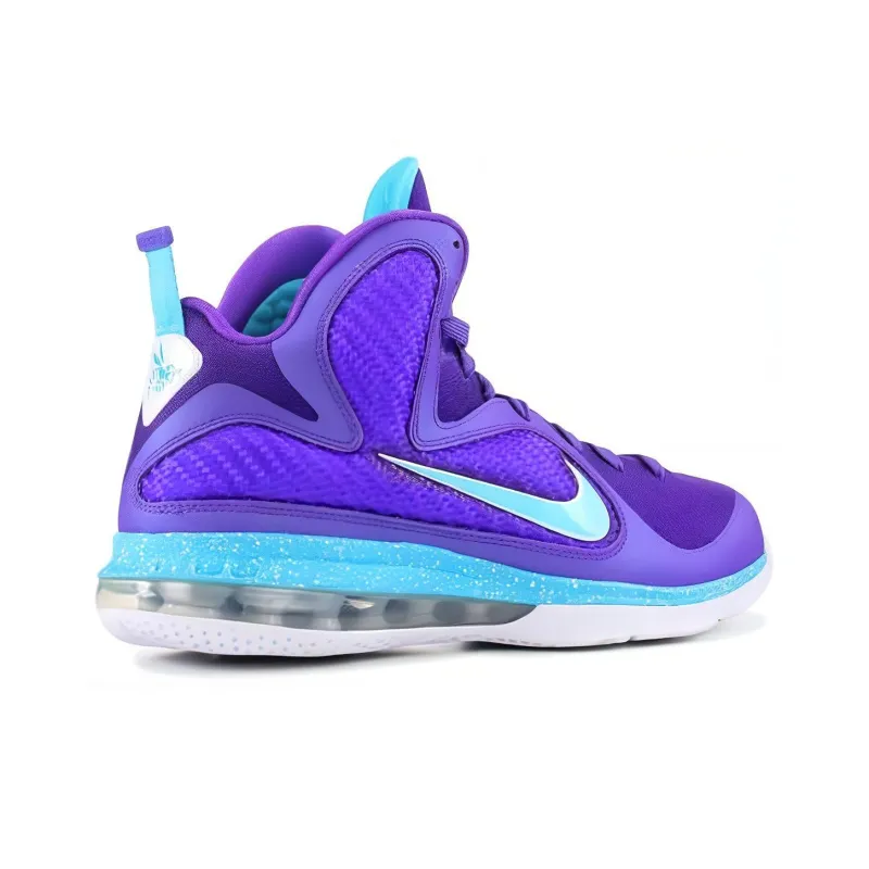 Nike LeBron 9 Summit Lake Hornets-3