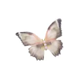 Multicolor Butterfly Hair Clip