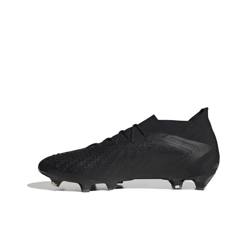Adidas Predator Accuracy.1 Fg 'Black'-0