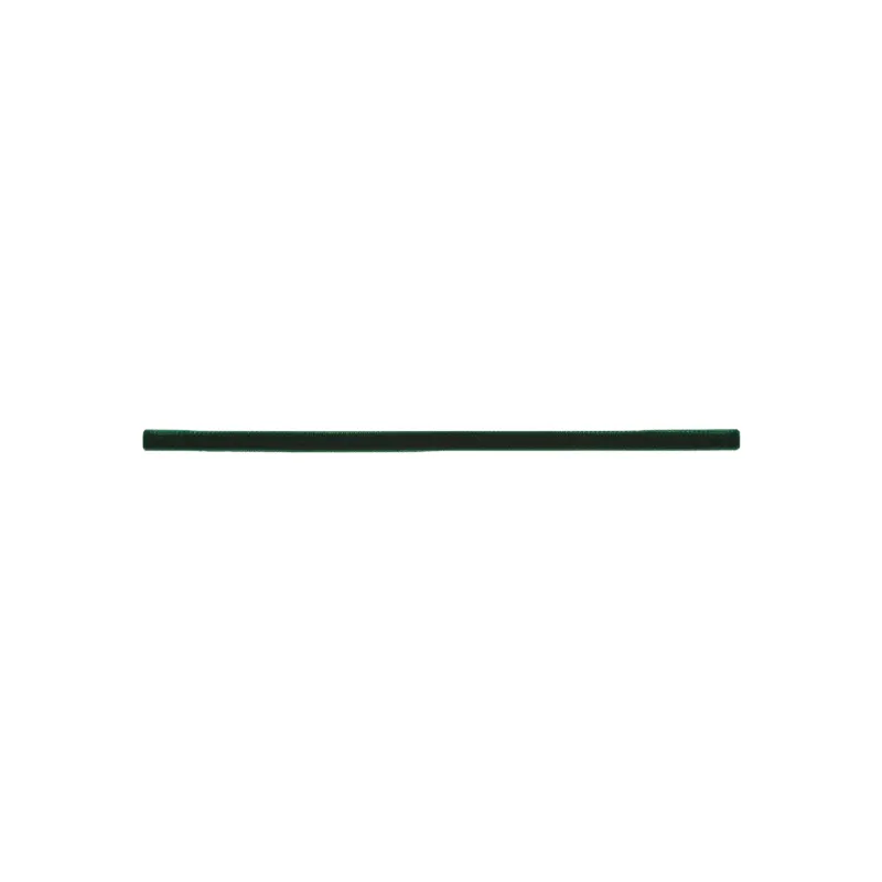 SAINT LAURENT Hair Bands Women's Green-0