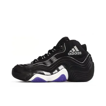 Adidas Crazy 2 Power Purple