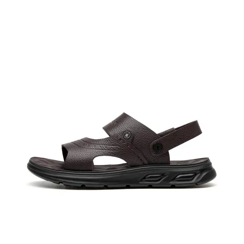 Spider King Beach Sandals Men Brown