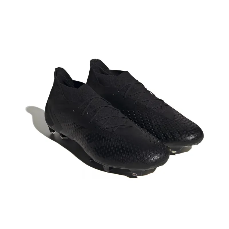 Adidas Predator Accuracy.1 Fg 'Black'-2