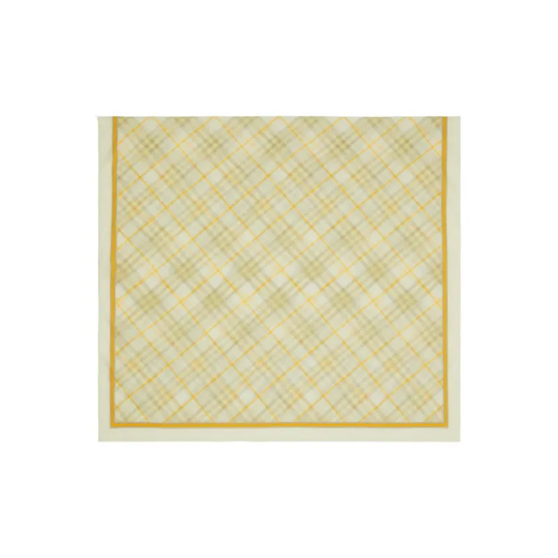 Burberry Checked Striped Border Scarf-2