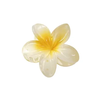 CMFY Acrylic Hair Clips Women's