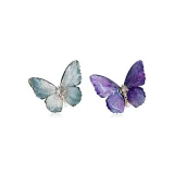 Ice Blue Butterfly+Purple Butterfly