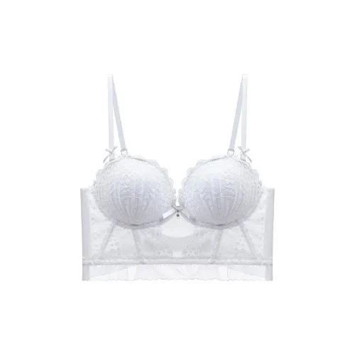 2323 Women's Bras