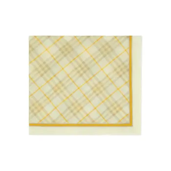 Burberry Checked Striped Border Scarf