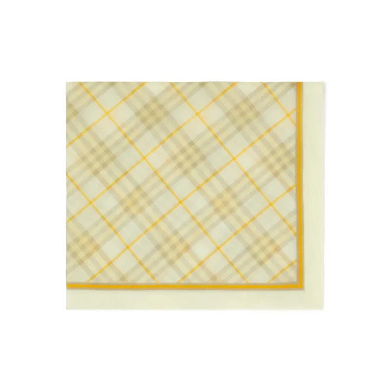 Burberry Checked Striped Border Scarf-0
