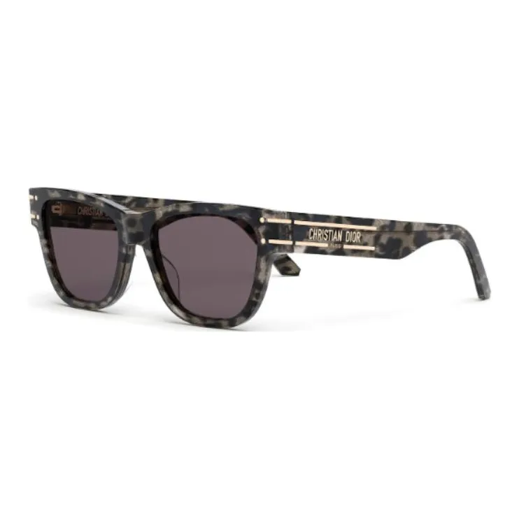 DIOR Sunglasses DIORsignature S6U-0