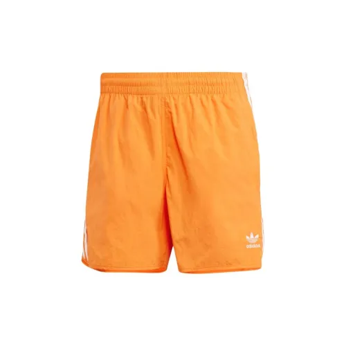 Adidas Originals Casual Shorts Men Orange