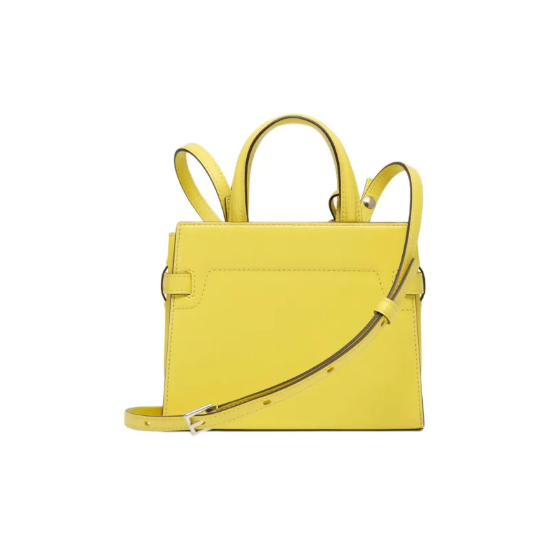 Delvau Tempête Calfskin Shoulder Bag Crossbody Bag Handbag Small Size Women's Pomelo Yellow-2