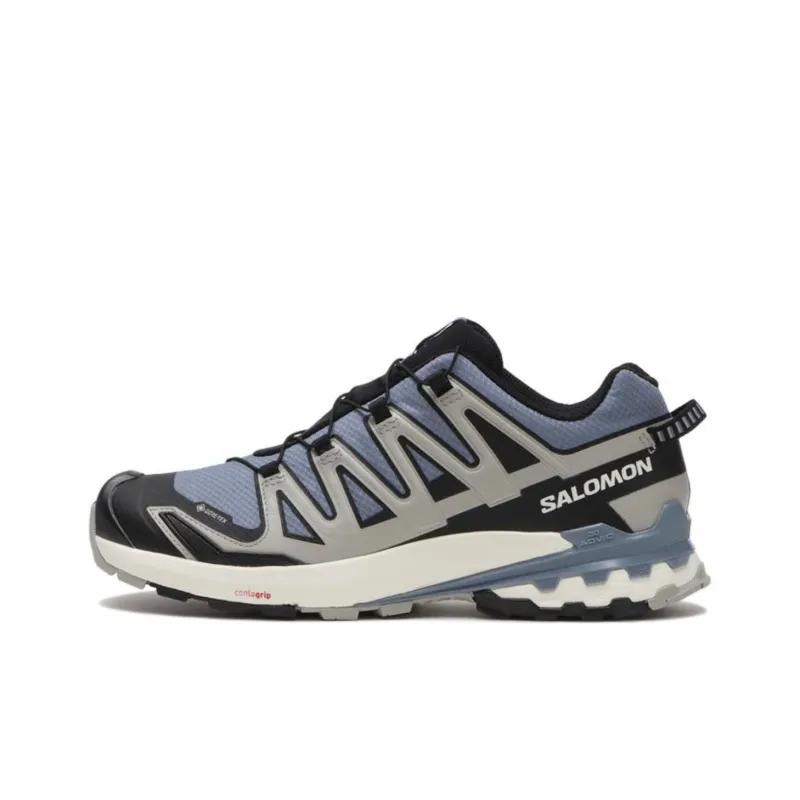 SALOMON Xa Pro 3D V9 Gore Tex Flint Stone Black Ghost Grey-0