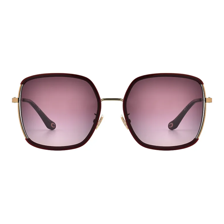 COACH Irregular Shape Sunglasses Unisex Multicolor-9