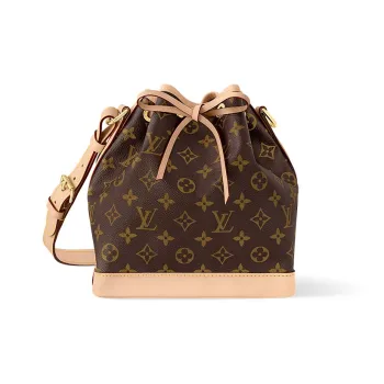 LOUIS VUITTON Canvas Bucket Bags Crossbody Bag Shoulder Bag Women's Brown