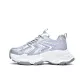Silver Gray