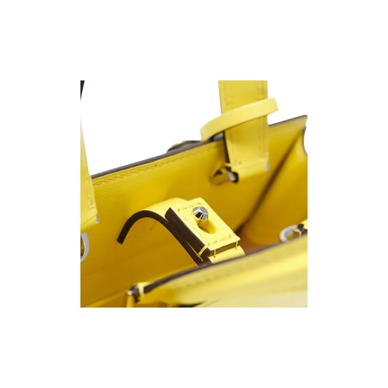 Delvau Tempête Calfskin Shoulder Bag Crossbody Bag Handbag Small Size Women's Pomelo Yellow-4