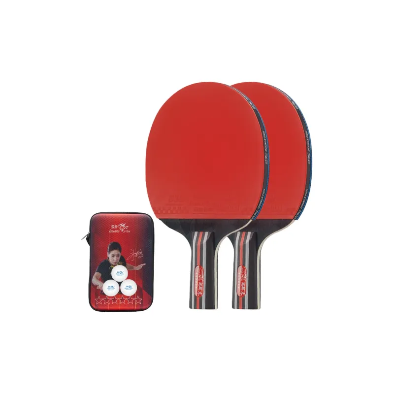 DOUBLEFISH Ping Pong Paddles Unisex Pure Wood Blade Double Sided Inverted Rubber Black/Red Double Shot Deluxe Set-10