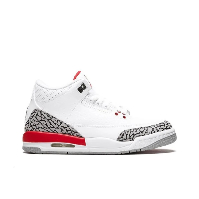 JORDAN 3 Retro Hall Of Fame GS-1