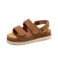 Chestnut