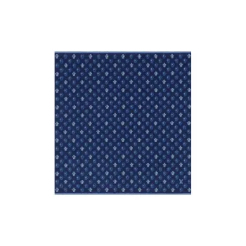 LOUIS VUITTON Silk Scarves Unisex Blue