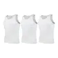 White+White+White