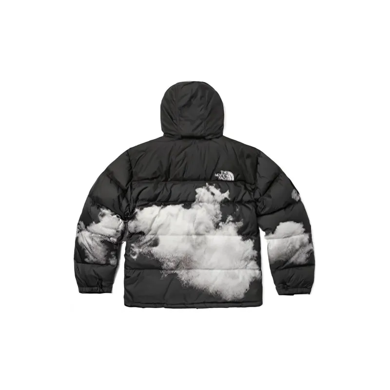 THE NORTH FACE 1996 Retro Nuptse 700 Fill Packable 92 Anniversary 