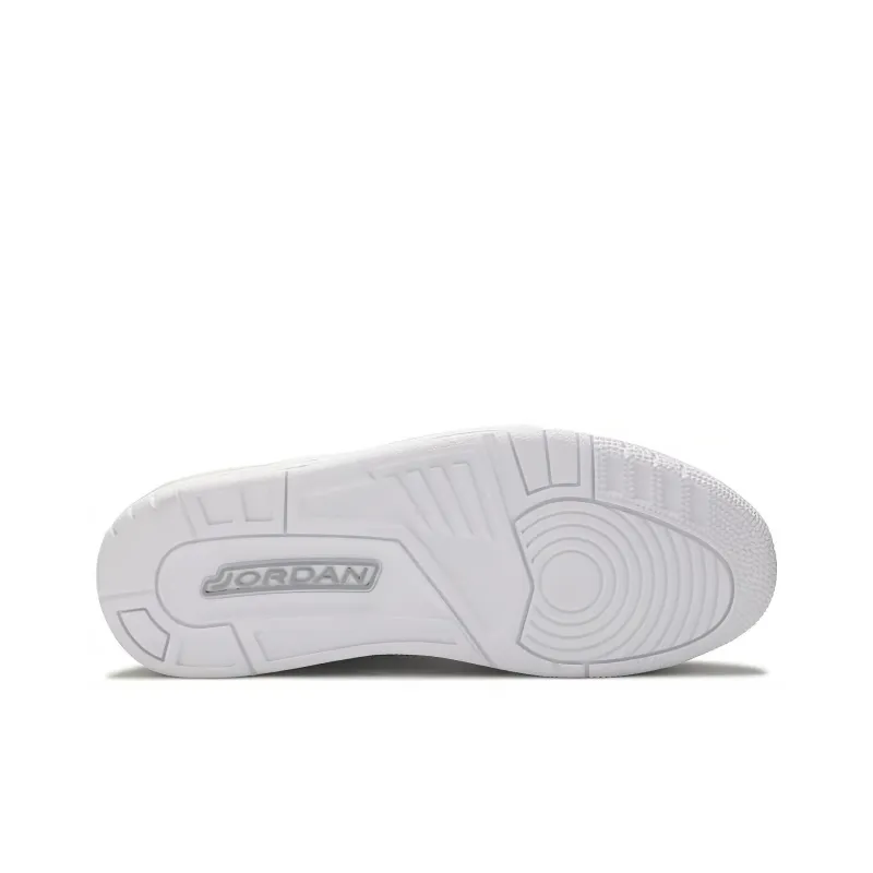 Jordan 3 Retro Silver Anniversary-4