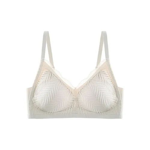 2323 Women's Bras