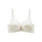Champagne (Single Pack Bra)