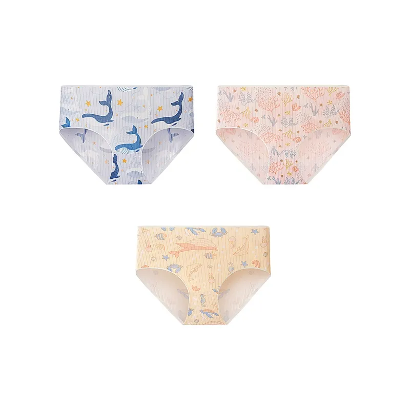 KJ Underpants Women's Combo Set-57